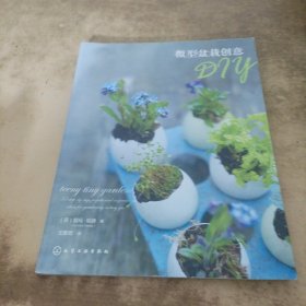 微型盆栽创意DIY