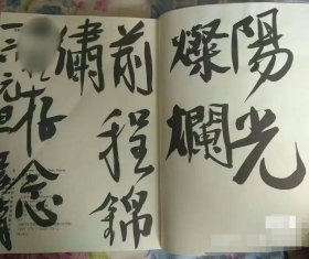 劉彥湖題集《陽光燦爛、前程似錦》有合影！