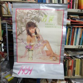1989年挂历 芳馨（艺术人像）（美女13张全） 75 × 52 cm 年代: FF8966