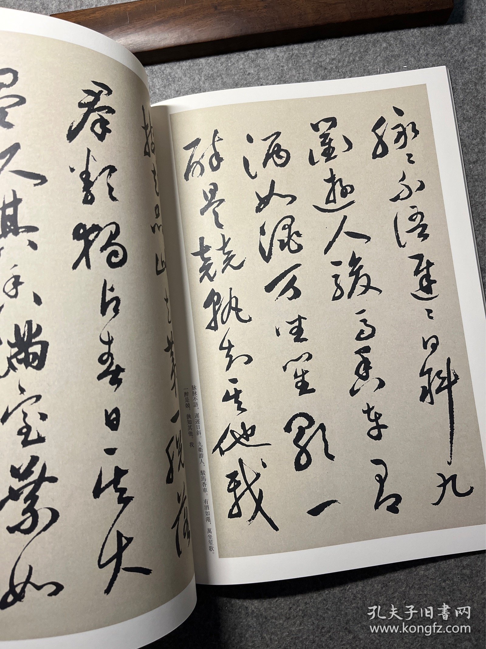 历代名家碑帖经典：祝允明 牡丹赋 归田赋