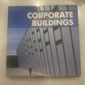 建筑书籍 商务大楼 corporate buildings