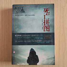《死亡拼图》欧美悬疑推理小说系列