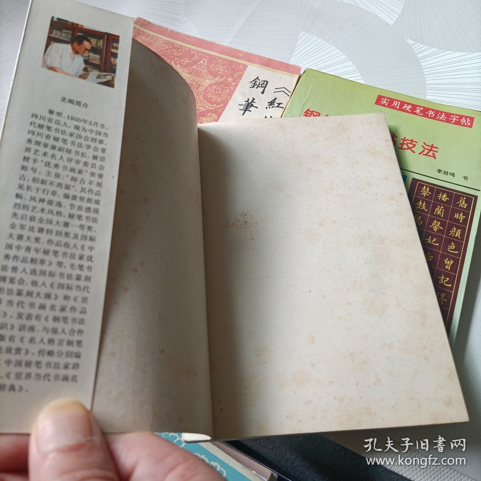 钢笔楷行书技法、《红楼梦》诗词钢笔楷书字帖、硬笔书法技巧及艺术欣赏——共三册