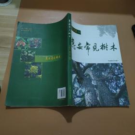 惠安常見樹木