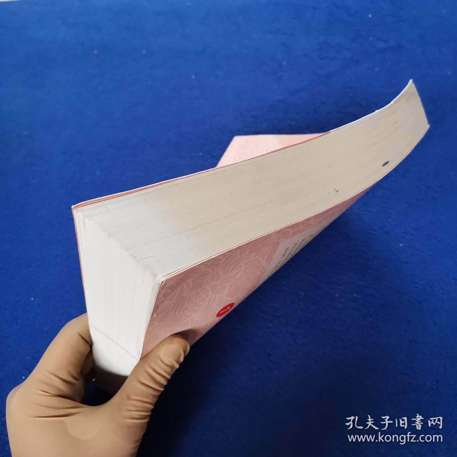 发展心理学 第三版