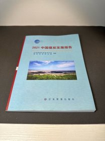 2021中国煤炭发展报告