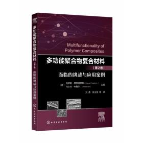 多功能聚合物复合材料（第2卷）面临的挑战与应用案例