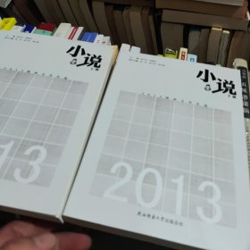 2013陕西文学年选. 小说卷 : 全2册