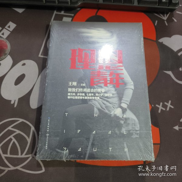 理想青年：致我们终将逝去的青春（原塑封）