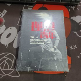 理想青年：致我们终将逝去的青春（原塑封）