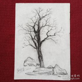 王绍昌 手绘素描画 西画油画素描水粉字画 国画老物件。近现代西画油画大艺术家作品，水粉素描油画艺术大师级人物。画心尺寸28×20cm