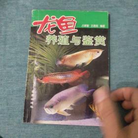 龙鱼养殖与鉴赏