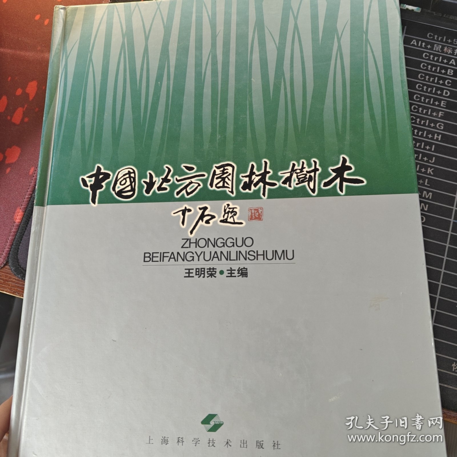 中国北方园林树木