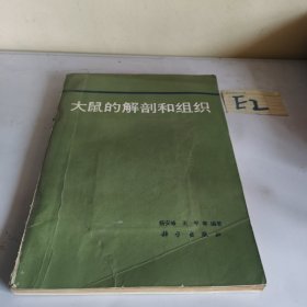大鼠的解剖和组织