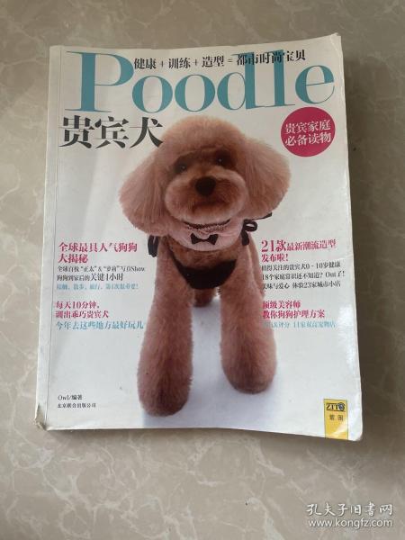 Poodle 贵宾犬