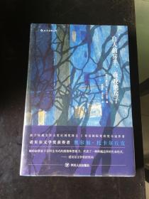 白天的房子，夜晚的房子：讲述一座边境小城千年故事的碎片化小说