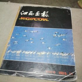 江西画报1985.11  创刊号