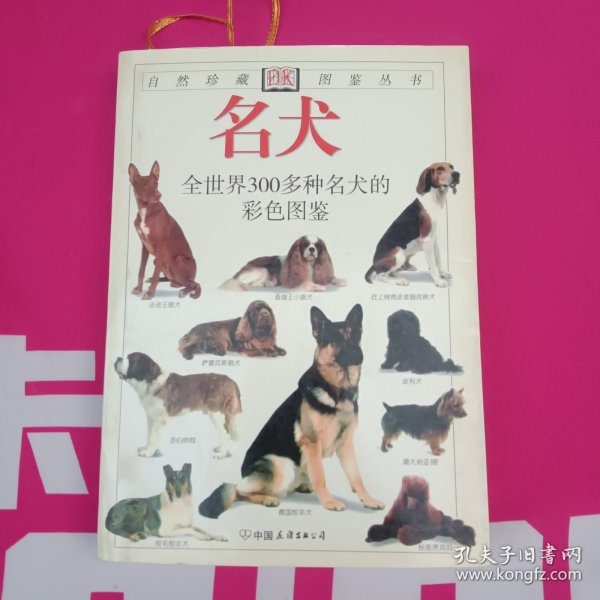 名犬：全世界300多种名犬的彩色图鉴