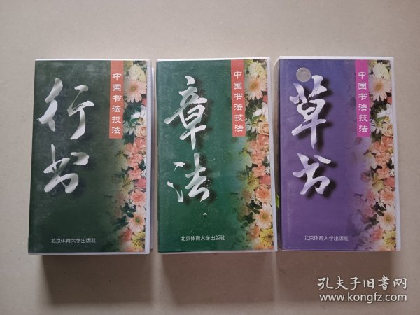 老录像带 中国书法技法行书 草书 章法 一起价格盒20.5×12 收藏道具摆件