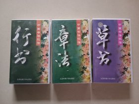 老录像带 中国书法技法行书 草书 章法 一起价格盒20.5×12 收藏道具摆件