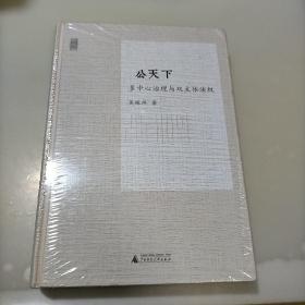 公天下：多中心治理与双主体法权