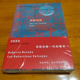 荒野侦探