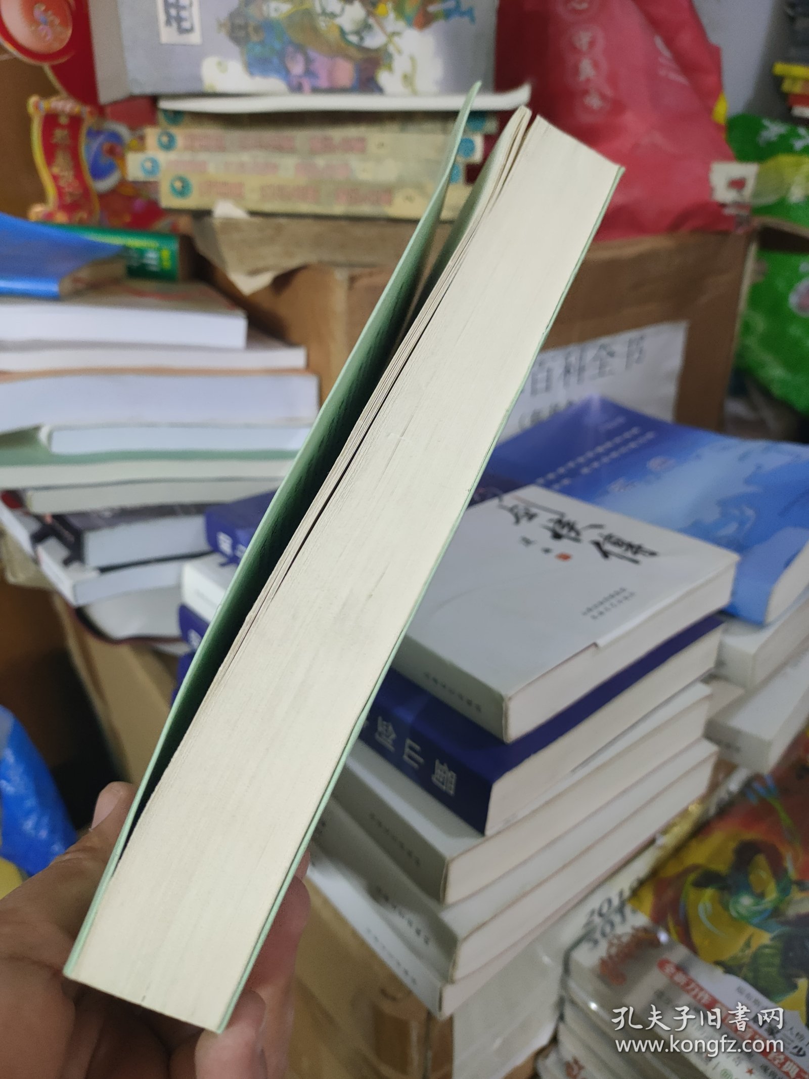 蒙古语族及各族史
