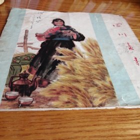 四川画报