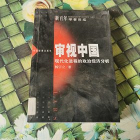 审视中国(现代化进程的政治经济分析) 馆藏 正版 无笔迹