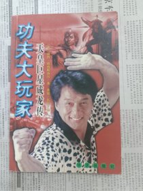 功夫大玩家