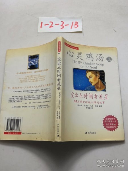空出点时间看流星：53篇用爱跨越心障的故事