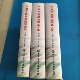 中国市县历史沿革大汇（上中下）厚三册全