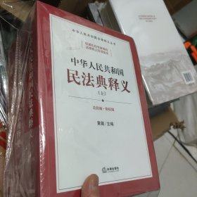 中华人民共和国民法典释义（上中下）（未开封）