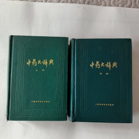 中药大辞典（上册，下册。）