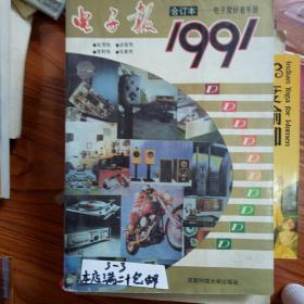 电子报1991