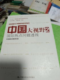 中国大视野2：国际热点问题透视/“认识中国·了解中国”书系