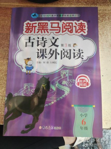 2024新版黑马阅读六年级现代文课外阅读+古诗文课外阅读6年级语文古诗文阅读理解专项训练人教版（套装2册）