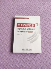 (读)（2022年版）企业内部控制主要风险点、关键控制点与案例解析（提升内控风险应对）