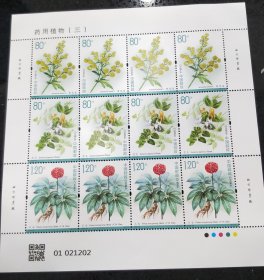 2023-20药用植物3(三)特种邮票整大版1套24枚同号邮局正品