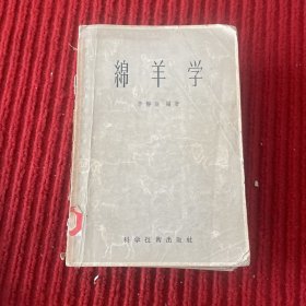 綿羊?qū)W