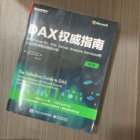 DAX权威指南：运用Power BI、SQL Server Analysis Services和Excel实现商业智能分析（第2版）