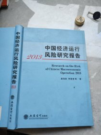 2013中国经济运行风险研究报告