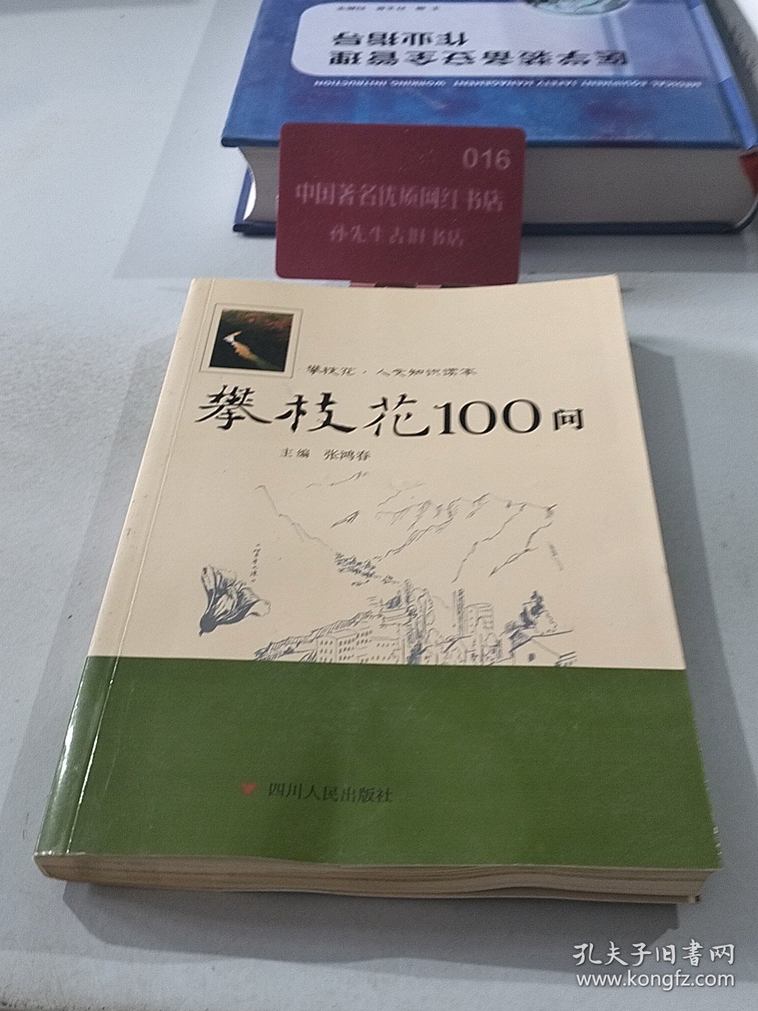 攀枝花100问