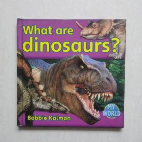 英文原版：What are dinosaurs?（什么是恐龙？）