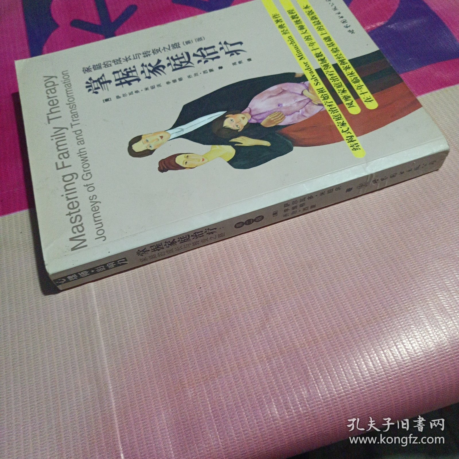 掌握家庭治疗：家庭的成长与转变之路（第2版）