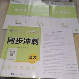 2023春同步冲刺 语文八年级下册【含配套如图】