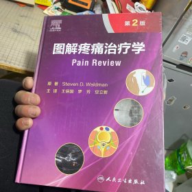 图解疼痛治疗学（第2版/翻译版）