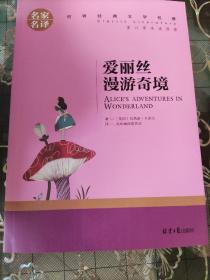 爱丽丝漫游奇境 中小学生课外阅读书籍世界经典文学名著青少年儿童文学读物故事书名家名译原汁原味读原著