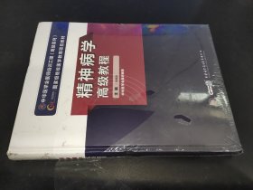 精神病学高级教程