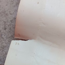 我们伟大的领袖，毛主席在中国共产党第八届扩大的第十二次中央委员会全会上